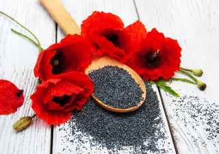 Klatschmohn wurde zur Blume des Jahres 2017 gekürt! (Inklusive Rezept-Tipp)