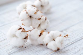 Was ist mikrokristalline Cellulose - und ist sie sicher?