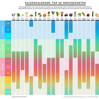 Saisonkalender: Top 20 Gemüsesorten