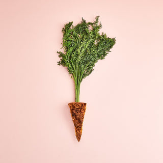 Rezept-Tipp: saftiger und veganer Karottenkuchen