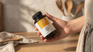 Shilajit Komplex von Nature Love