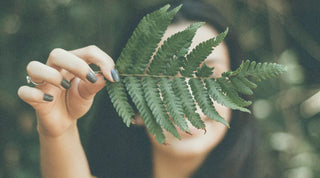Chlorophyll: von Natur aus ein Hingucker