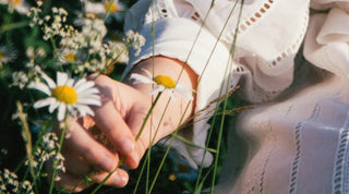 Eine Hand, die eine Blume pflückt.