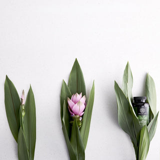 Foto von Blüten und Kurkuma Kapseln