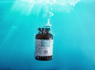 Diese Geheimnisse birgt das Naturprodukt aus der faszinierenden Unterwasserwelt - die Sango-Meereskoralle