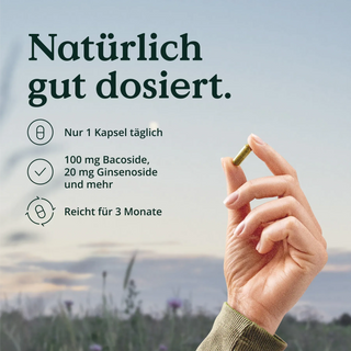 Eine Person hält eine Tablette Fokus Kapseln von Nature Love mit der Aufschrift „naturlich gut dosiert“ hoch, die B-Vitamine enthält.