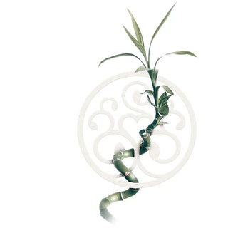 Eine Zeichnung einer Bambuspflanze auf weißem Hintergrund.