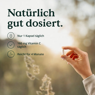 Eine Person hält eine Tablette mit der Aufschrift „Nature Love's Vitamin C aus Camu Camu-Extrakt Kapseln“, die die Vorteile von Vitamin C für das Immunsystem anpreist.